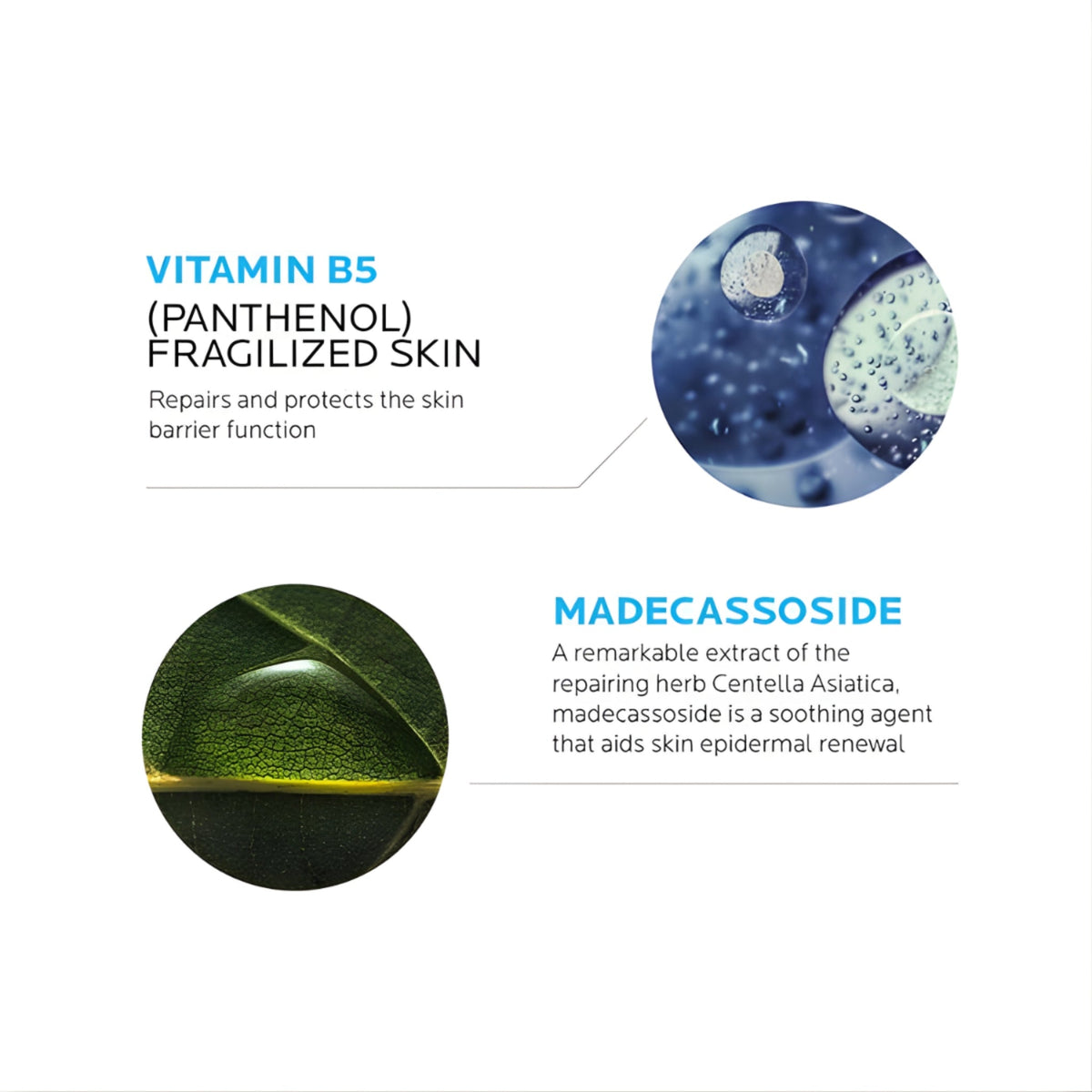 Refect Beauty infographic showing Vitamin B5 and Madecassoside benefits for skin repair and epidermal renewal