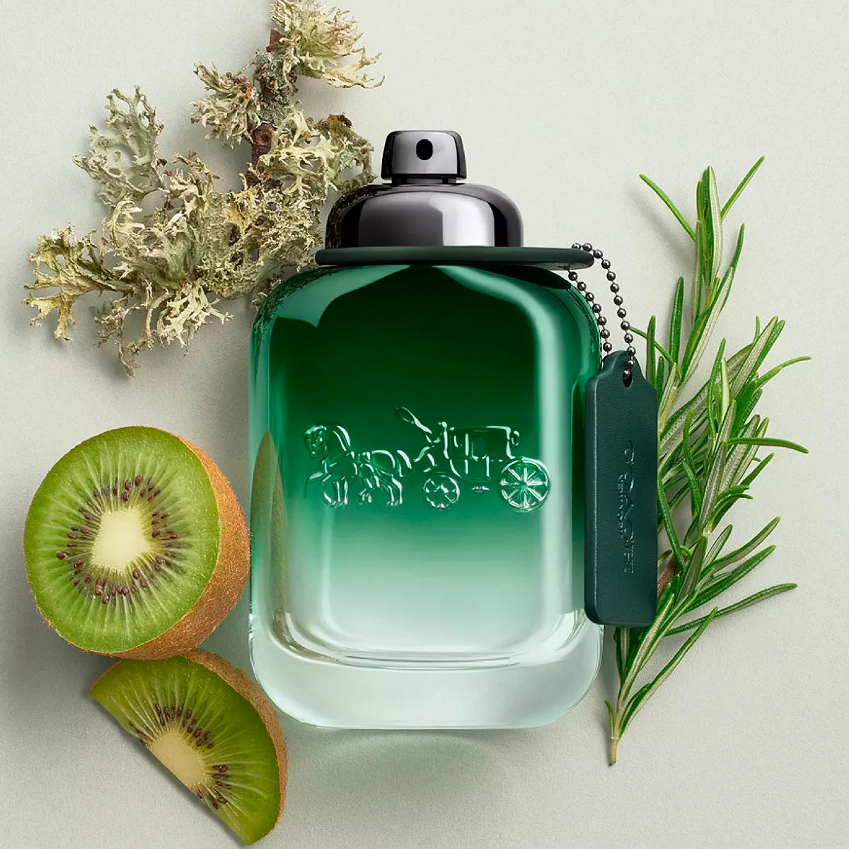 Refect Beauty Coach Green for Men Eau de Toilette bottle surrounded by fresh kiwi slices, rosemary, and moss.