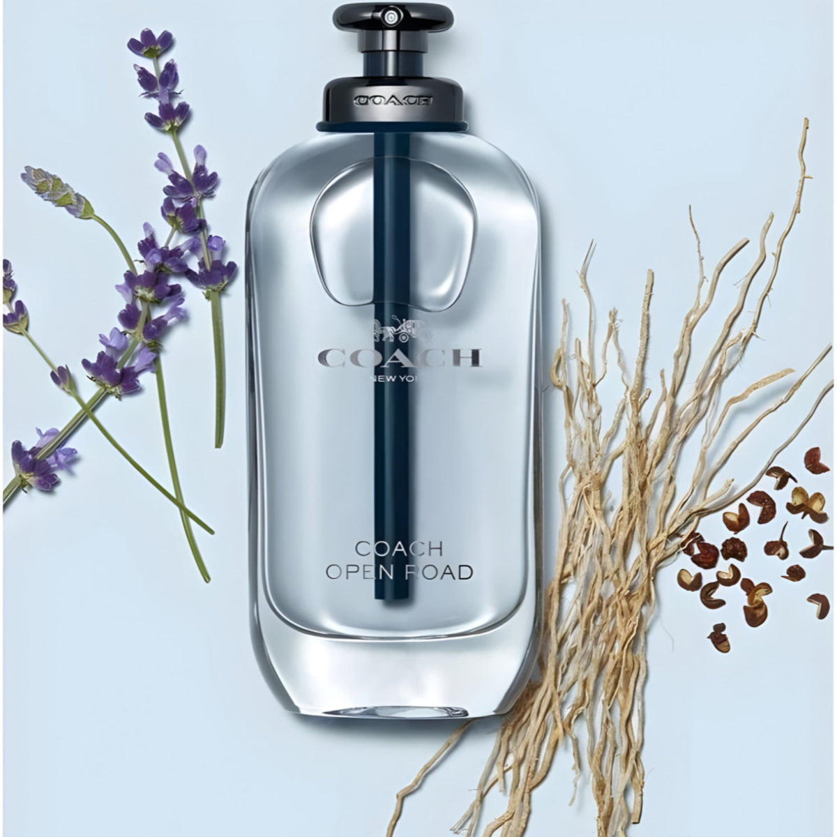 Refect Beauty Coach Open Road Eau de Toilette bottle surrounded by lavender sprigs and woody vetiver roots