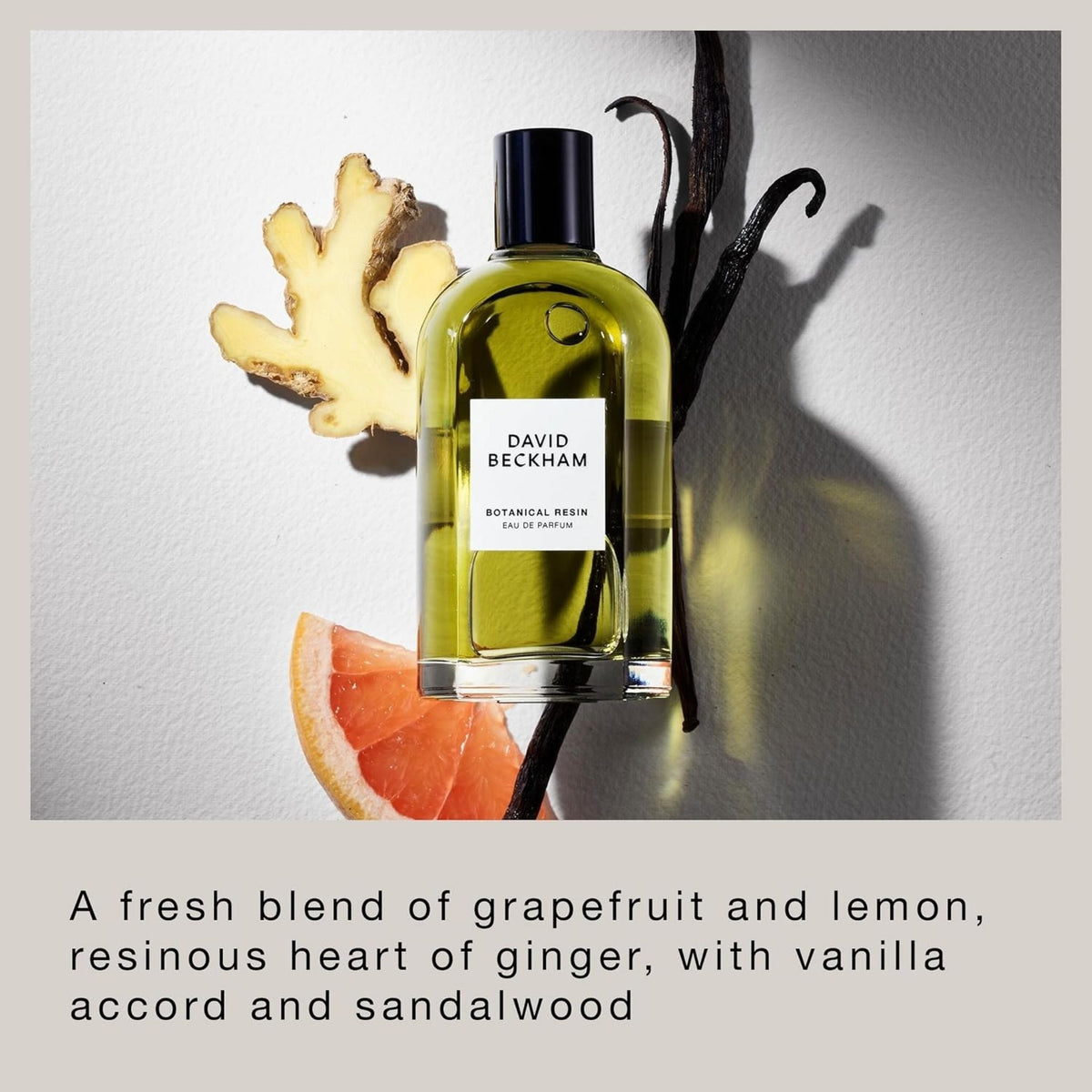 Refect Beauty David Beckham Botanical Resin Eau de Parfum bottle surrounded by fresh ginger, grapefruit, and vanilla