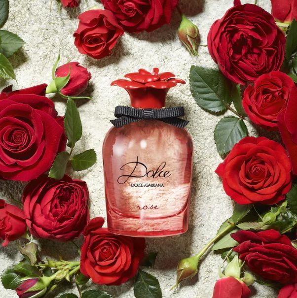 Refect Beauty Dolce & Gabbana Dolce Rose perfume bottle surrounded by fresh red roses on a textured white background