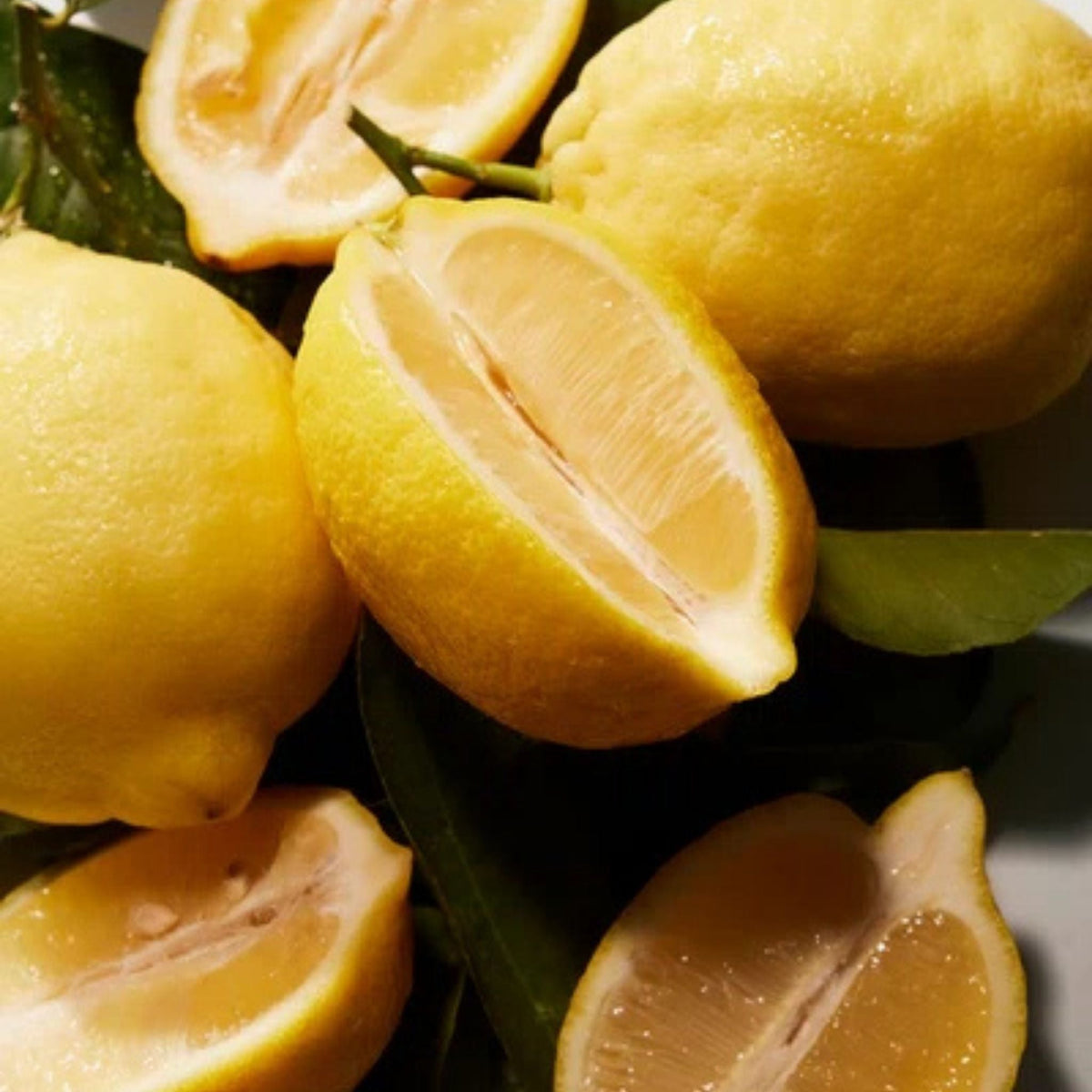 Refect Beauty Dolce & Gabbana K Eau de Parfum features fresh yellow lemons representing the fragrance top notes
