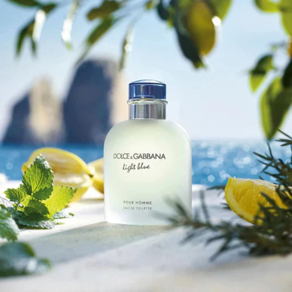Refect Beauty Dolce & Gabbana Light Blue Pour Homme Eau de Toilette bottle with Mediterranean lemon and herb accents