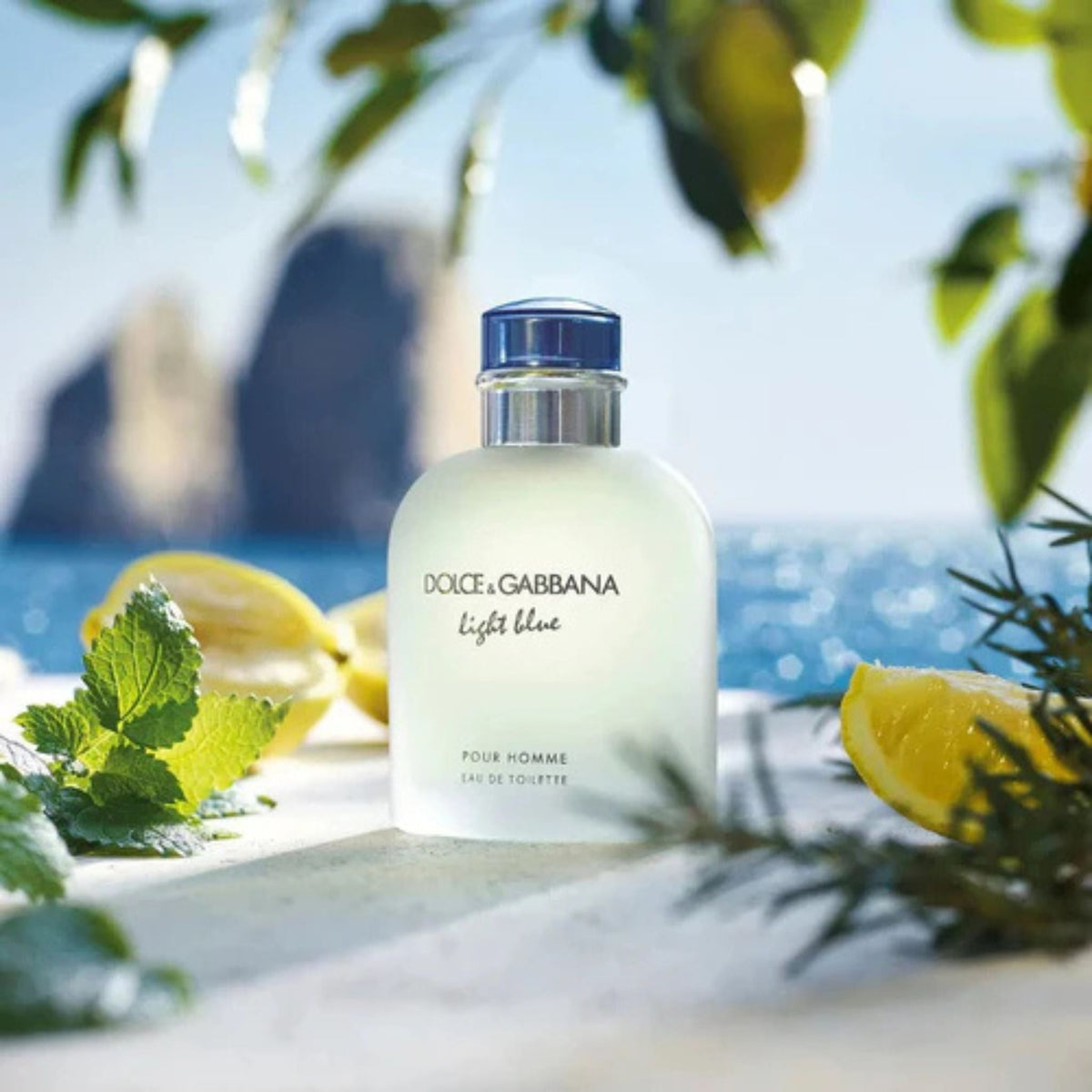 Refect Beauty Dolce & Gabbana Light Blue Pour Homme Eau de Toilette bottle with Mediterranean lemon and herb accents
