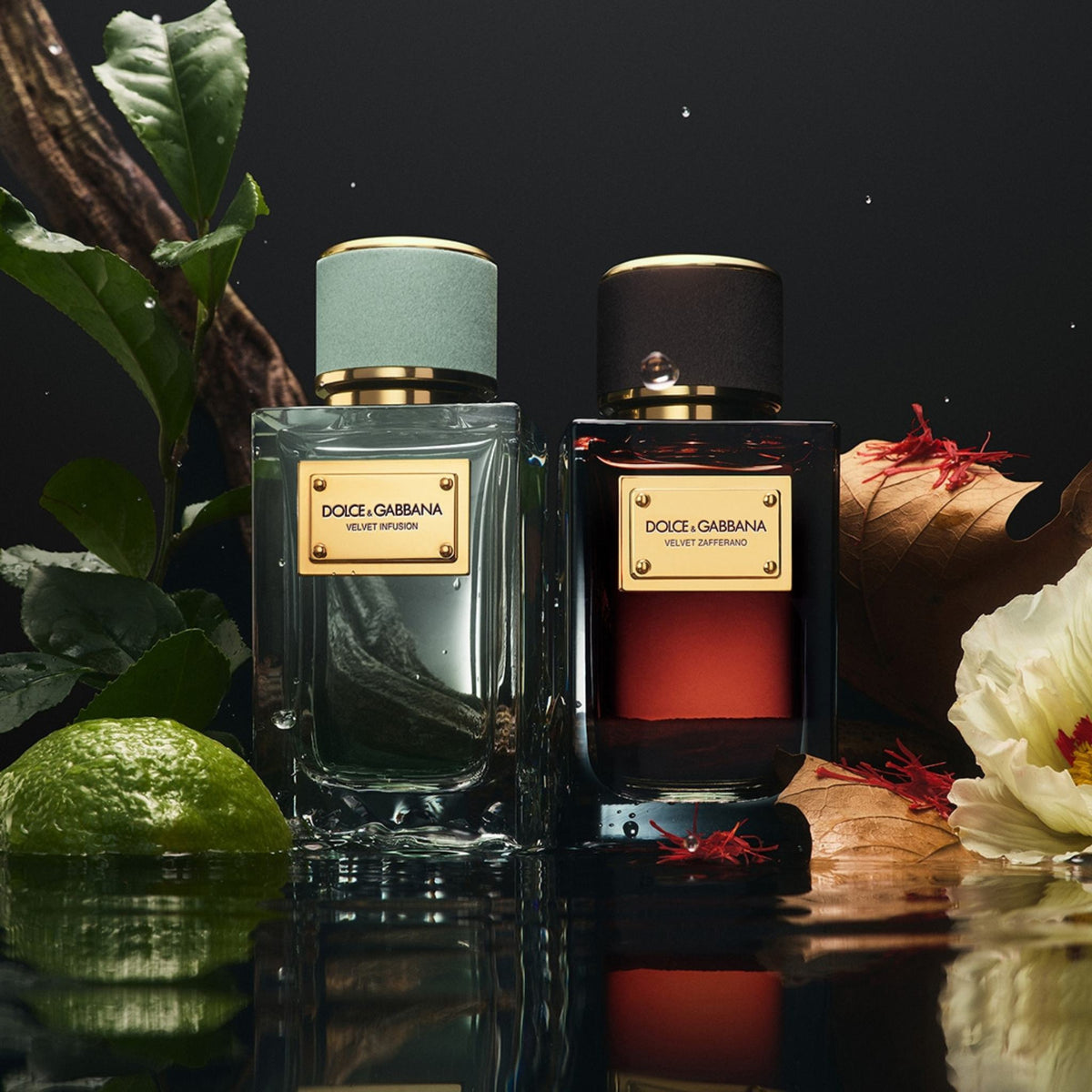 Refect Beauty Dolce & Gabbana Velvet Zafferano and Velvet Infusion perfume bottles with saffron and lime on dark water