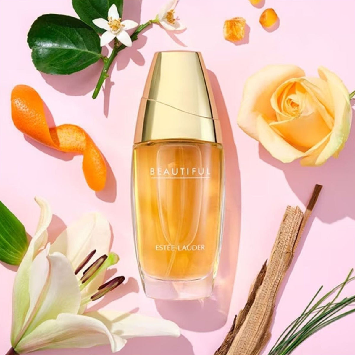 Refect Beauty Estée Lauder Beautiful Eau de Parfum bottle surrounded by rose, lily, citrus peel, and woody notes.