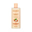 Refect Beauty Evoluderm Repairing Shea Butter shampoo bottle for dry and damaged hair