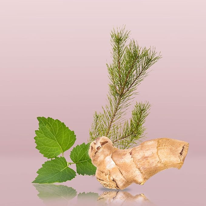 Refect Beauty ginger root, green leaves, and pine sprig representing fragrance notes for Calvin Klein Euphoria
