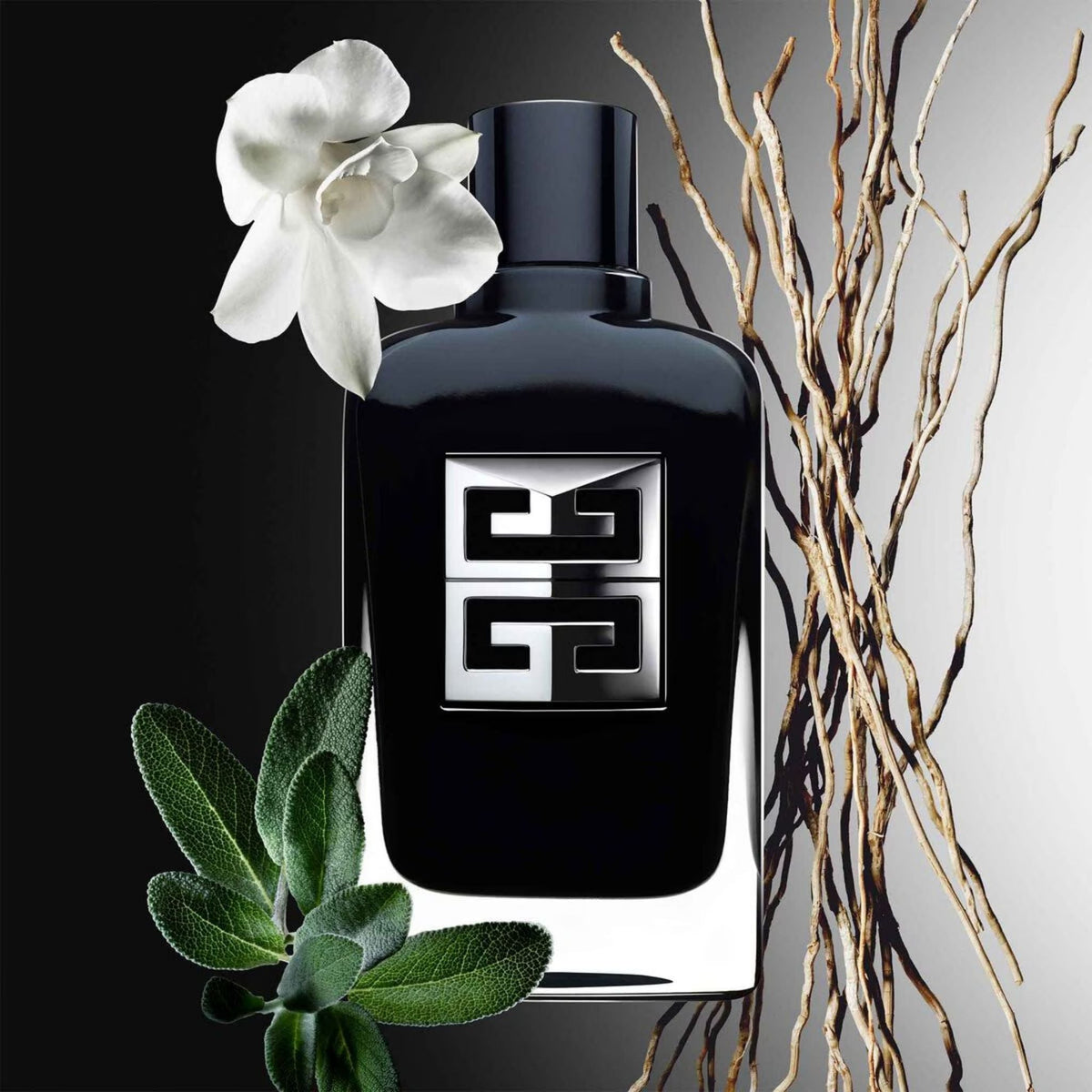 Refect Beauty Givenchy Gentleman Society Eau de Parfum bottle with sage leaves, narcissus flower, and vetiver roots.