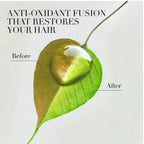 Refect Beauty graphic showing a leaf half-withered and half-vibrant with a water droplet, symbolizing hair restoration.