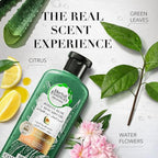 Refect Beauty Herbal Essences Bio:Renew Potent Aloe and Avocado Oil shampoo bottle with botanical ingredients