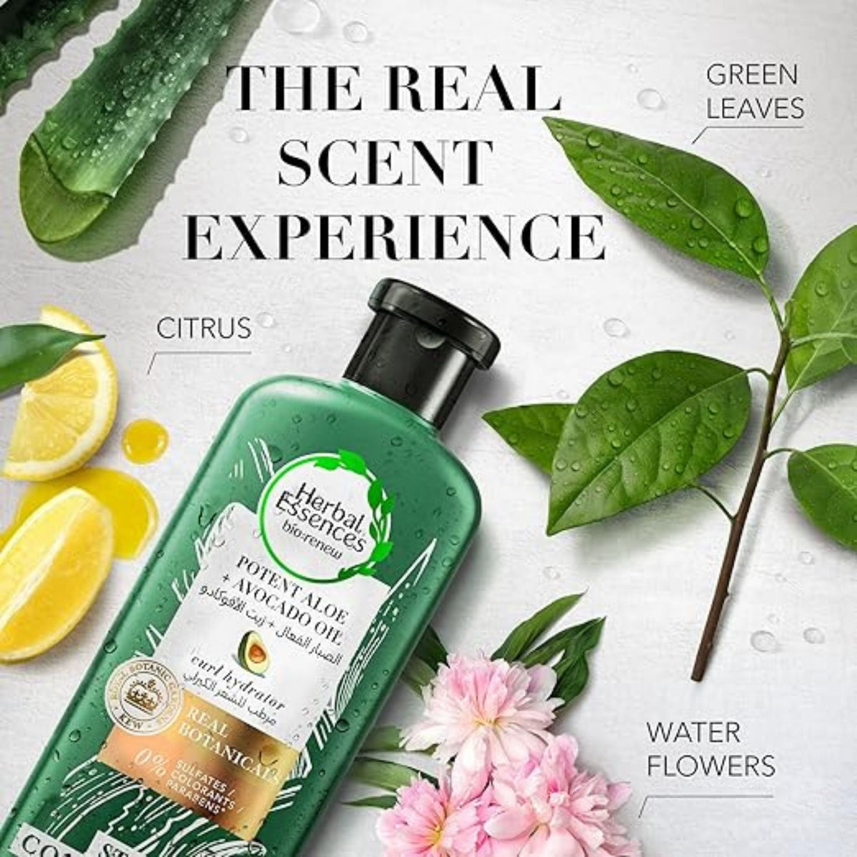 Refect Beauty Herbal Essences Bio:Renew Potent Aloe and Avocado Oil shampoo bottle with botanical ingredients
