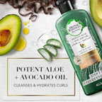 Refect Beauty Herbal Essences Bio:Renew Potent Aloe and Avocado Oil shampoo bottle with fresh avocado and aloe slices.