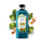 Refect Beauty Herbal Essences Argan Oil of Morocco shampoo bottle surrounded by argan nuts and green leaves.
