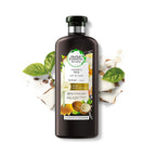 Refect Beauty Herbal Essences Hydrate Coconut Milk Conditioner bottle with coconut and leaf accents on white background