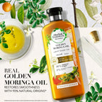Refect Beauty Herbal Essences Golden Moringa Oil conditioner bottle surrounded by fresh botanicals and orange slices.