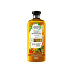 Refect Beauty Herbal Essences Bio:Renew Golden Moringa Oil shampoo bottle for smoothing dry and frizzy hair