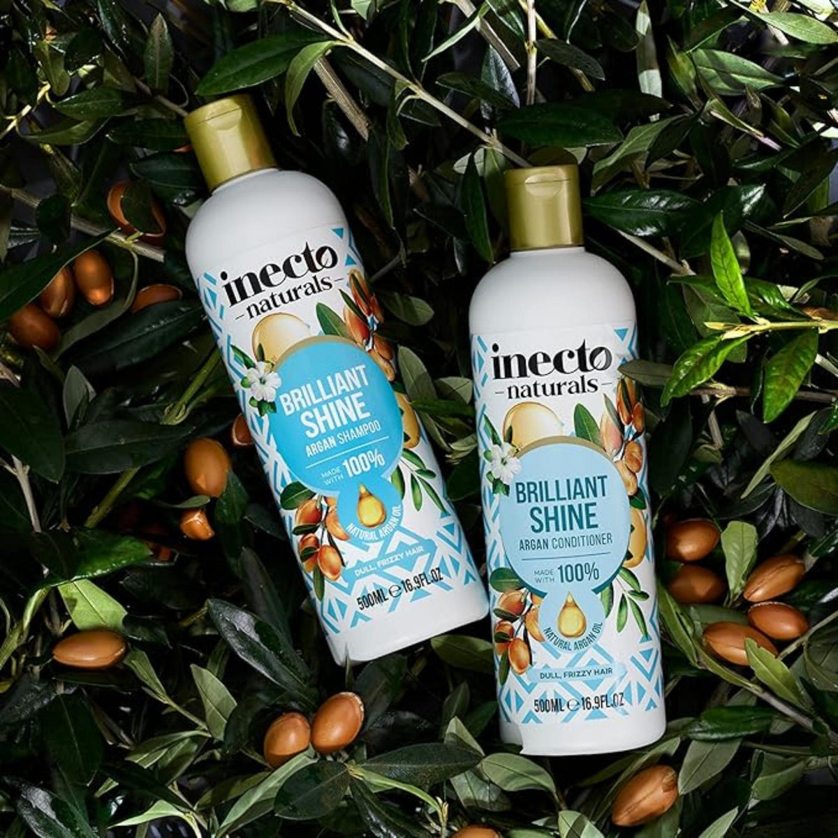 Refect Beauty Inecto Naturals Argan shampoo and conditioner bottles nestled among fresh green leaves and argan nuts.