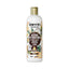 Refect Beauty Inecto Naturals coconut shampoo bottle for dry hair with tropical leaf and coconut illustrations