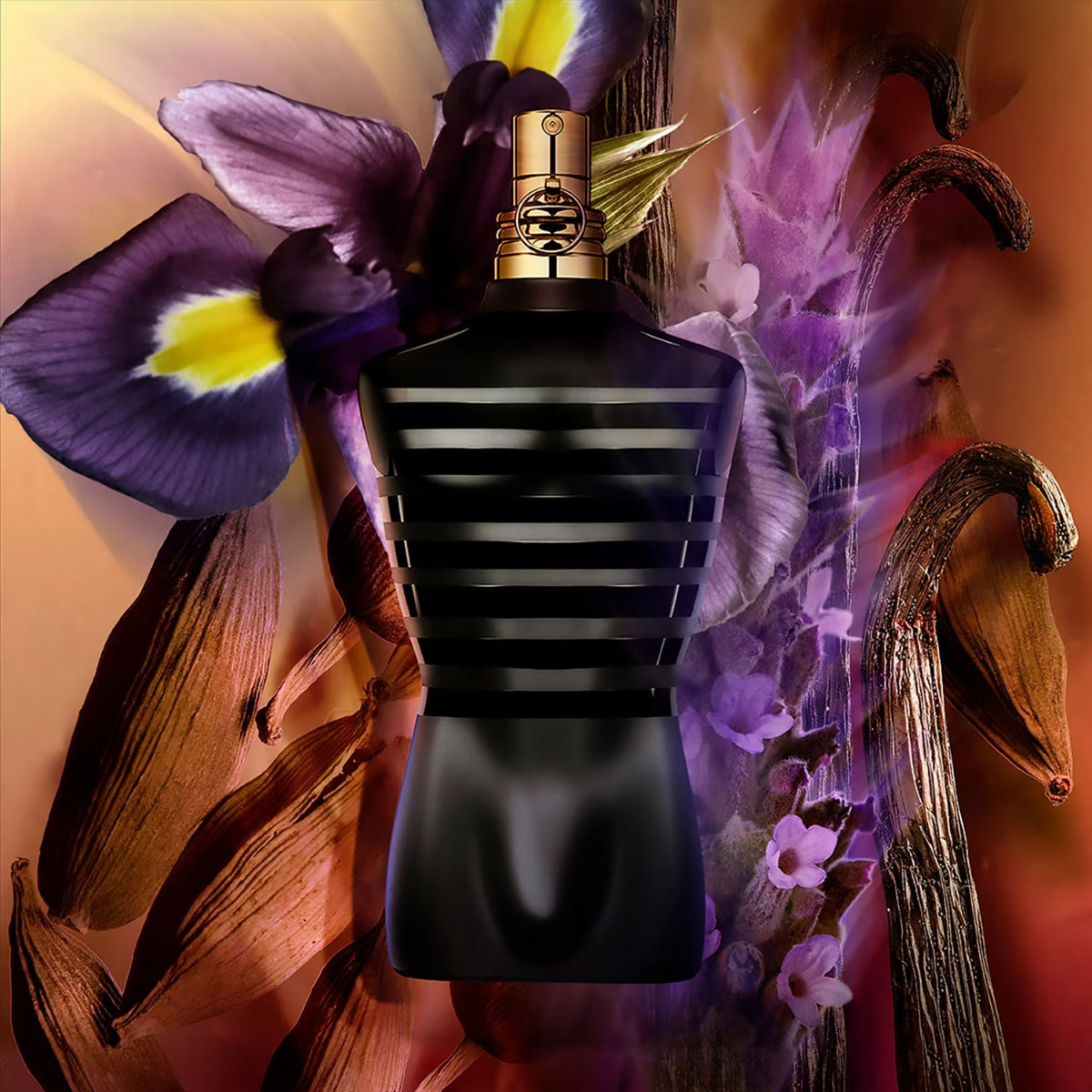 Refect Beauty Jean Paul Gaultier Le Male Eau de Parfum bottle in black with gold trim, surrounded by iris and vanilla.