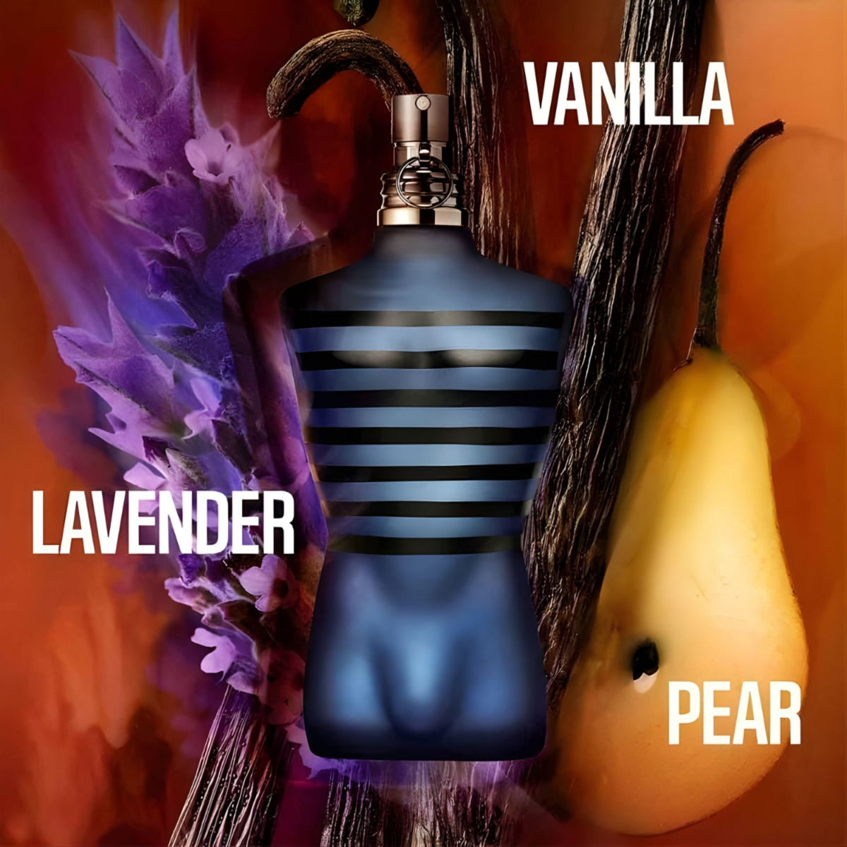 Refect Beauty Jean Paul Gaultier Ultra Male eau de toilette bottle with lavender, vanilla, and pear ingredients