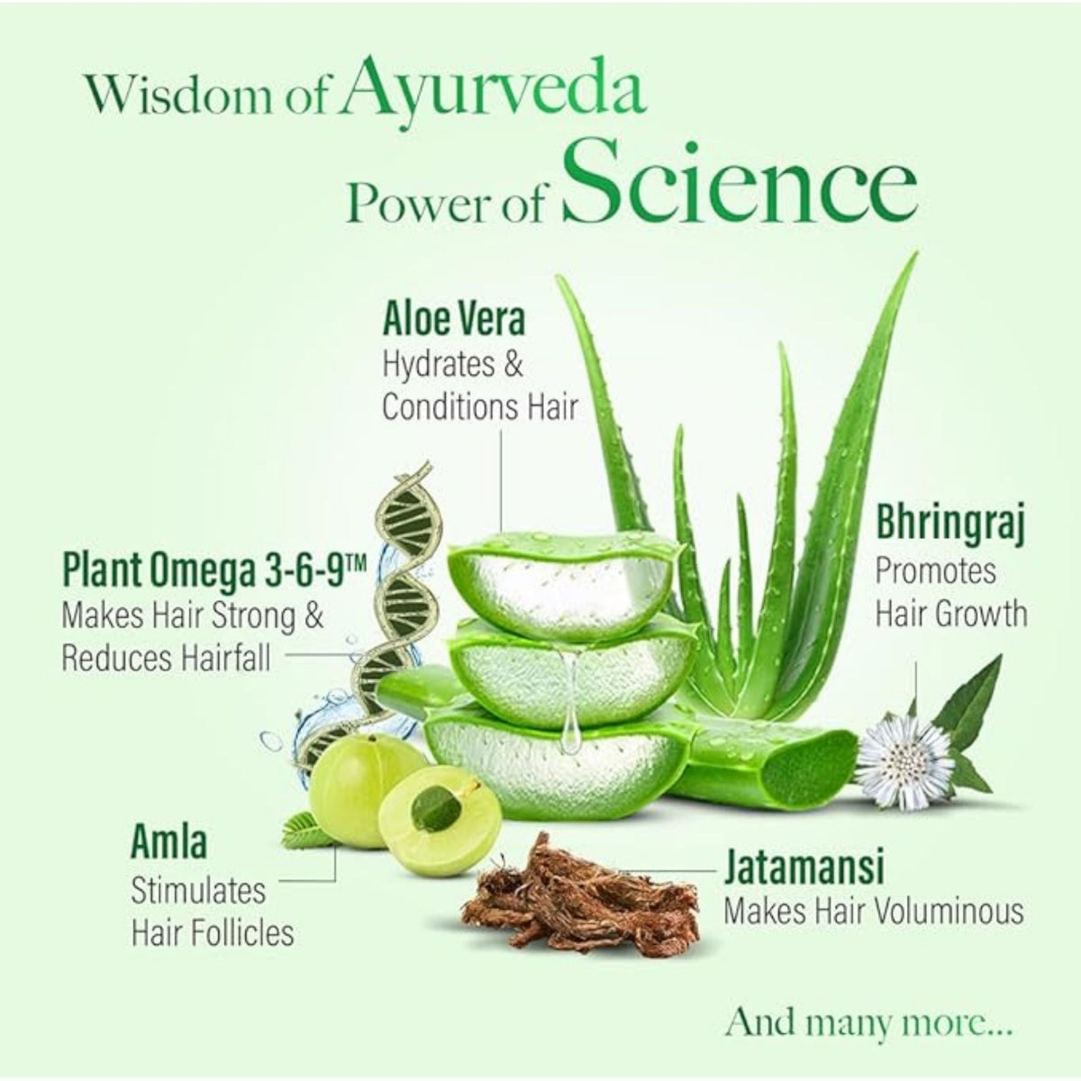 Refect Beauty Kesh King shampoo ingredients infographic featuring Aloe Vera, Amla, Bhringraj, and Jatamansi herbs.