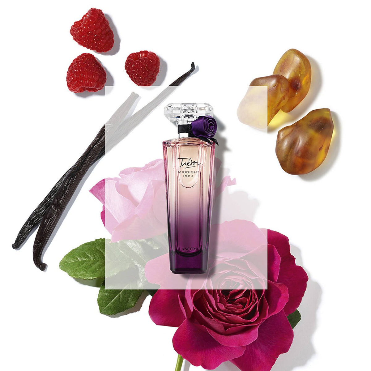 Refect Beauty Lancome Tresor Midnight Rose perfume bottle surrounded by fresh raspberries, vanilla, and pink roses.