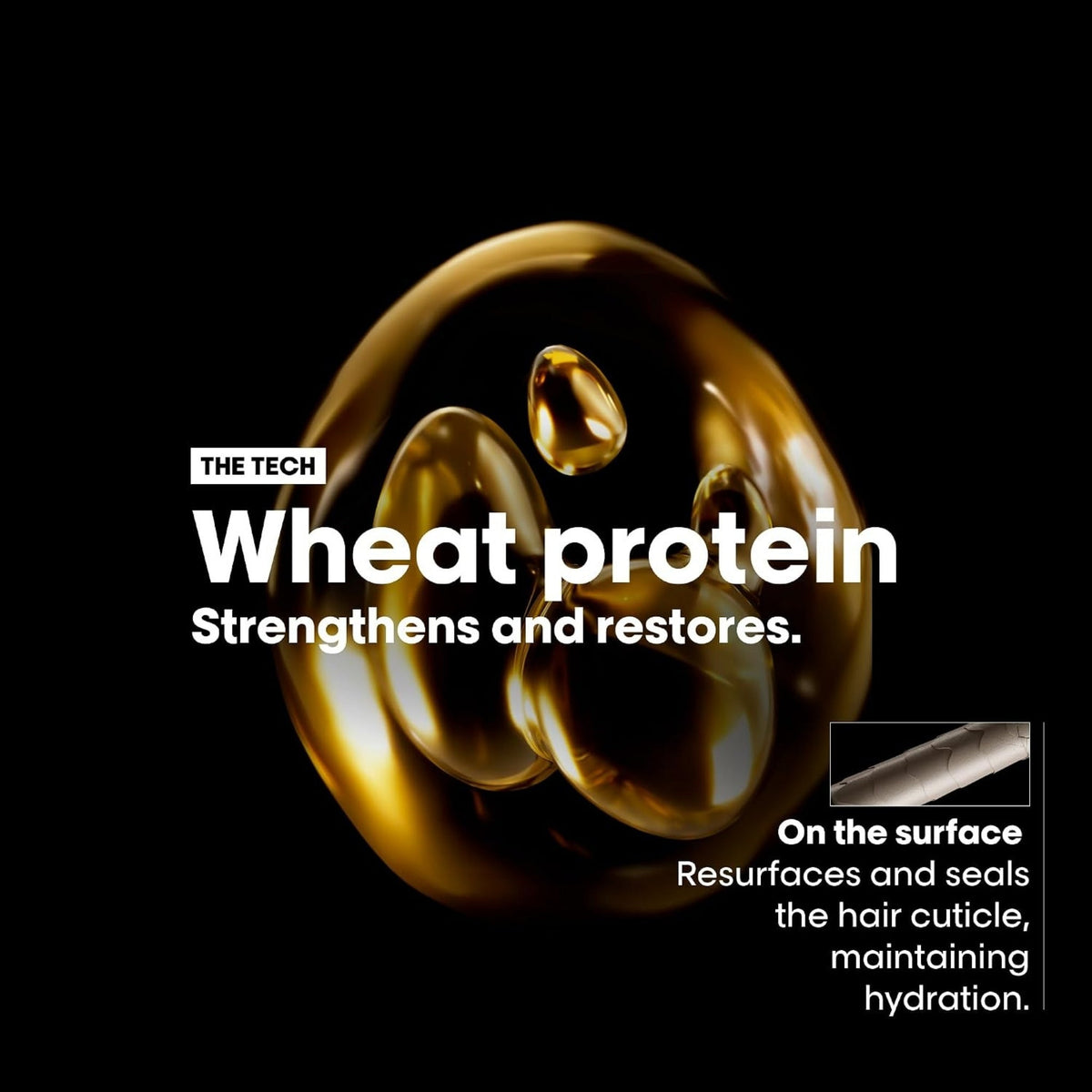 Refect Beauty L'Oréal Professionnel Absolut Repair Golden Mask showing wheat protein technology for hair restoration