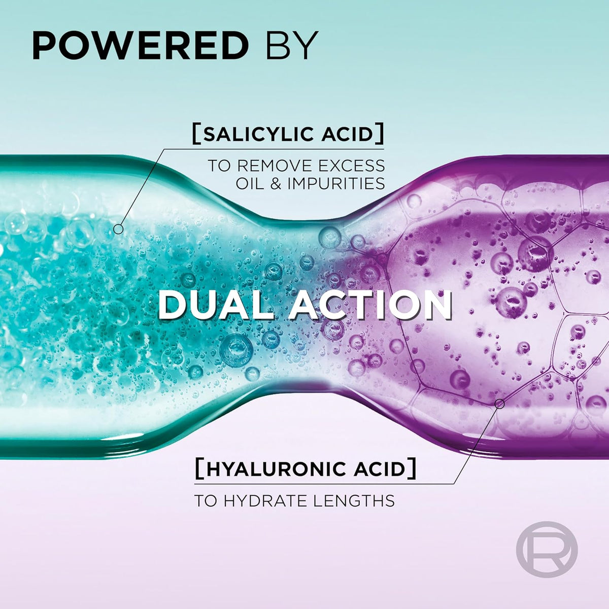 Refect Beauty L'Oreal Elvive Hyaluron Pure conditioner graphic showing salicylic acid for oil and hyaluronic acid for hydration
