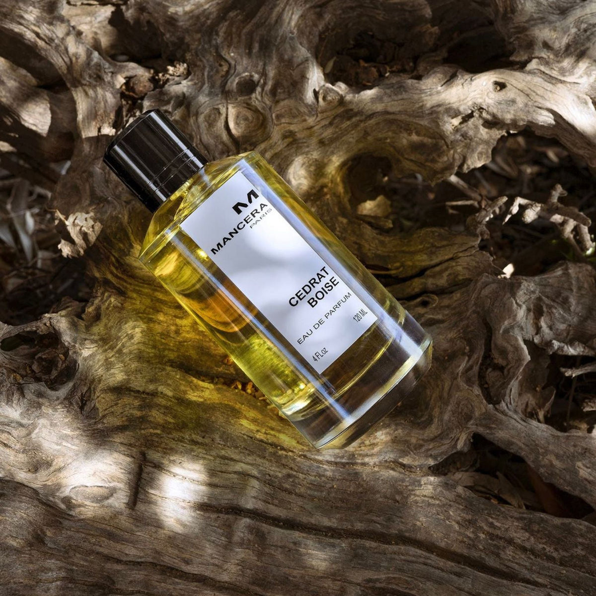 Refect Beauty Mancera Cedrat Boise Eau de Parfum 120ml bottle resting on textured natural driftwood