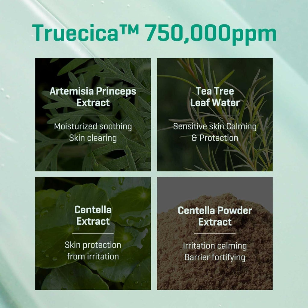 Refect Beauty infographic showing Truecica ingredients including Artemisia, Tea Tree, and Centella for skin calming