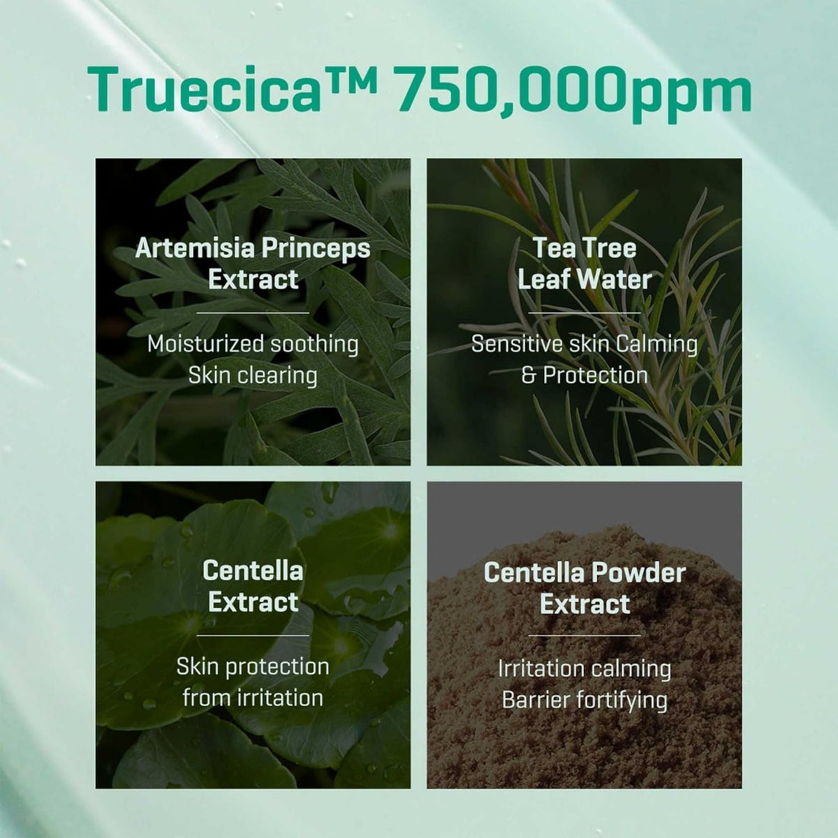 Refect Beauty infographic showing Truecica ingredients including Artemisia, Tea Tree, and Centella for skin calming