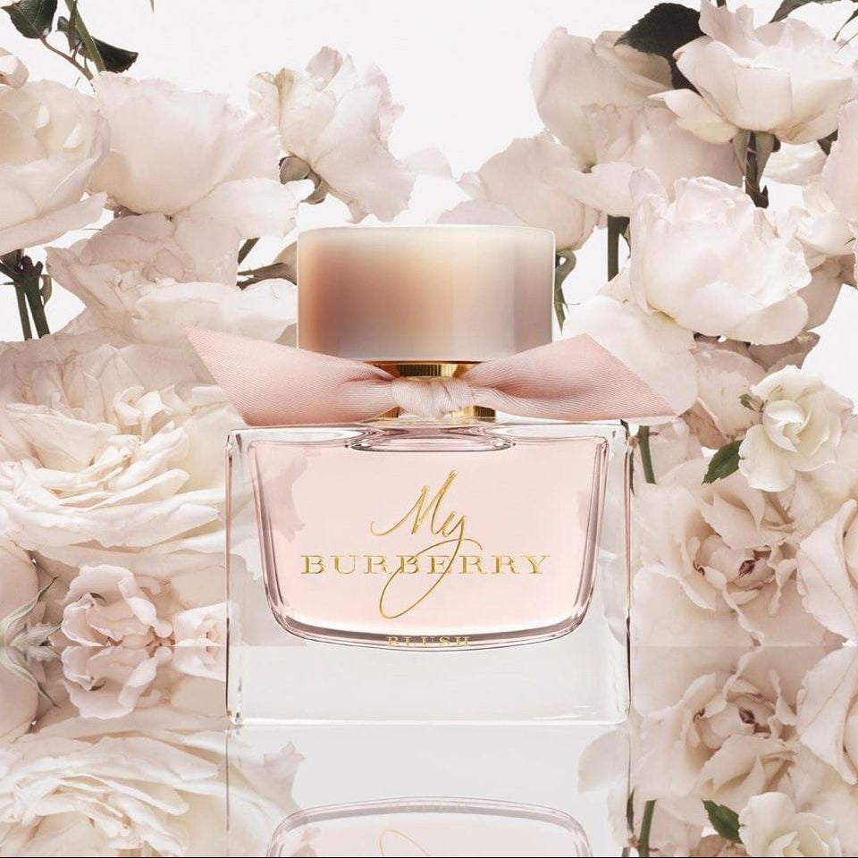 Refect Beauty My Burberry Blush Eau de Parfum bottle with a pink ribbon, surrounded by white blooming roses