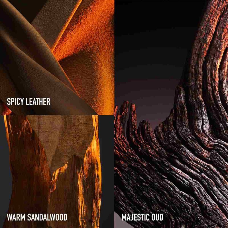 Refect Beauty Paco Rabanne One Million Golden Oud fragrance ingredients featuring spicy leather, sandalwood, and oud.