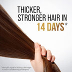 Refect Beauty Pantene Pro-V Moisture Renewal Shampoo advertisement showing healthy, strong brown hair being held.