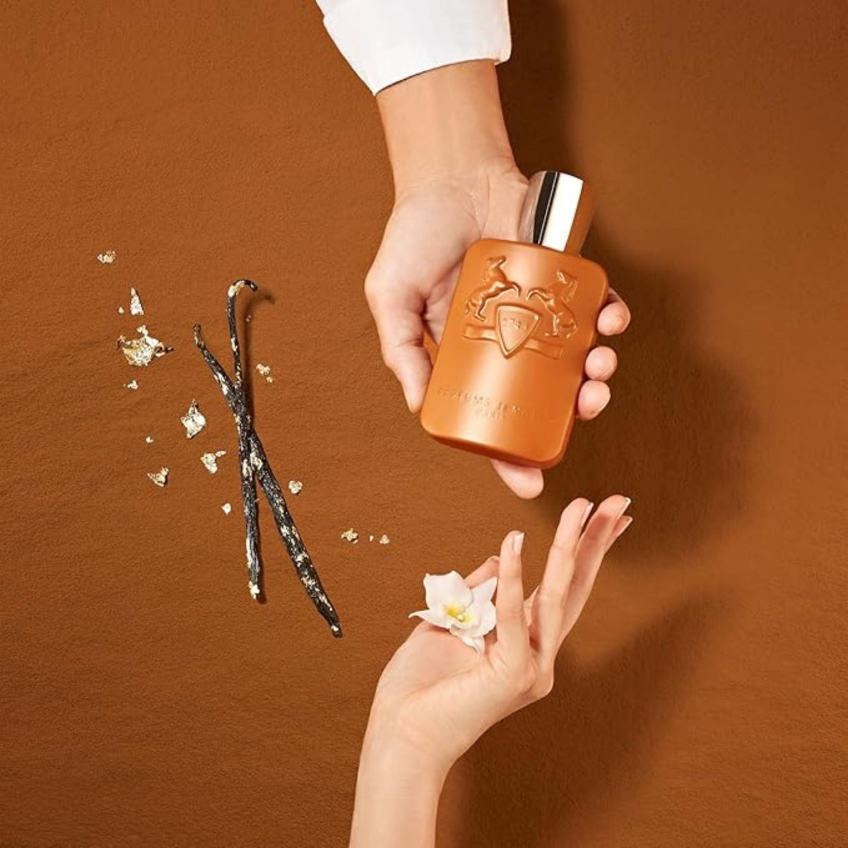 Refect Beauty Parfums de Marly Althaïr bottle held in hand with vanilla beans and orange blossom on brown background