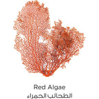 Refect Beauty red algae extract ingredient used in L'oreal Paris Pure Clay face cleanser for brightening dull skin
