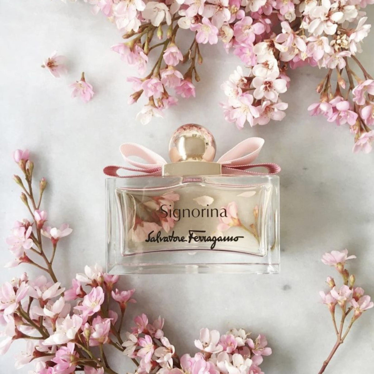 Refect Beauty Salvatore Ferragamo Signorina Eau de Parfum bottle with a pink bow, surrounded by delicate cherry blossoms