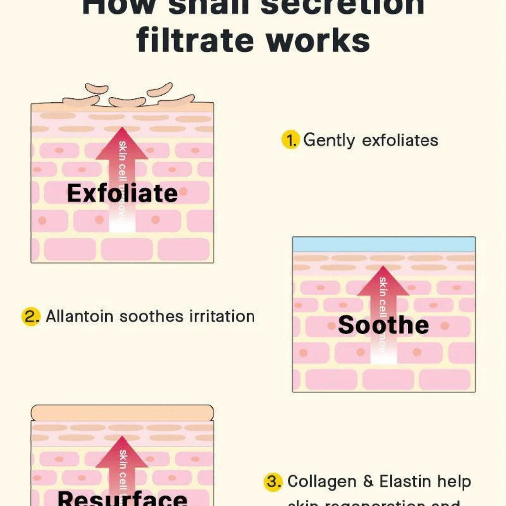 Refect Beauty infographic showing how Cosrx snail secretion filtrate exfoliates, soothes, and resurfaces skin layers.