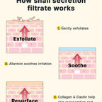Refect Beauty infographic showing how Cosrx snail secretion filtrate exfoliates, soothes, and resurfaces skin layers.