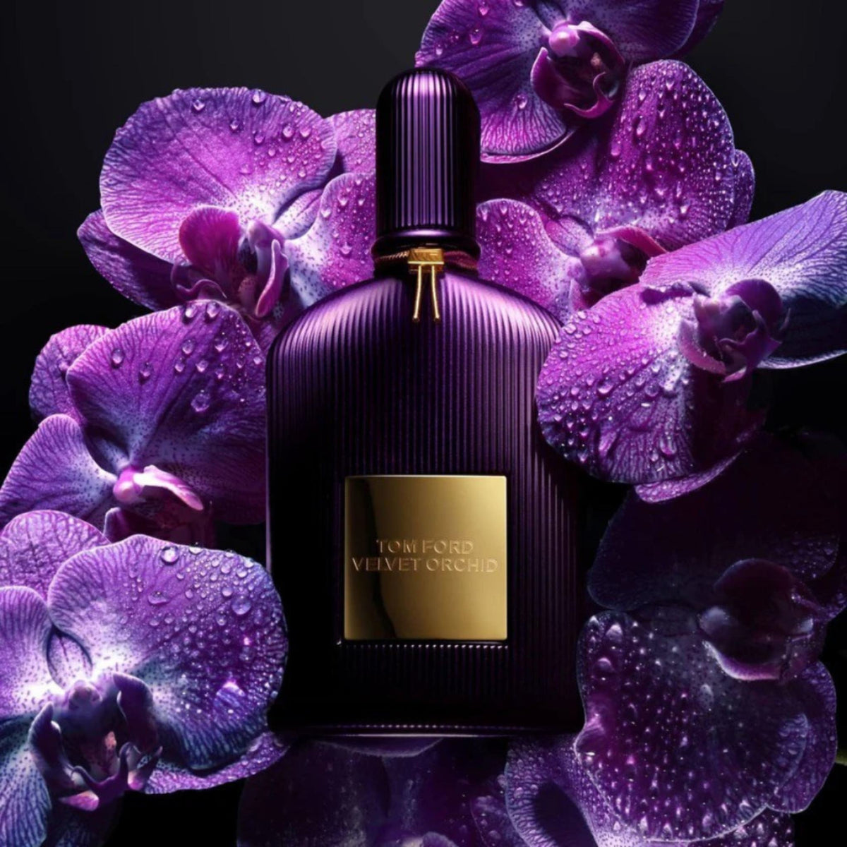 Refect Beauty Tom Ford Velvet Orchid perfume bottle surrounded by vibrant purple orchids with water droplets.