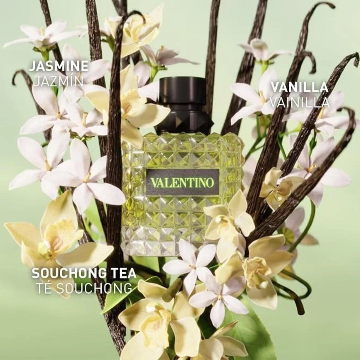 Refect Beauty Valentino Donna Born In Roma Green Stravaganza perfume bottle surrounded by jasmine and vanilla pods