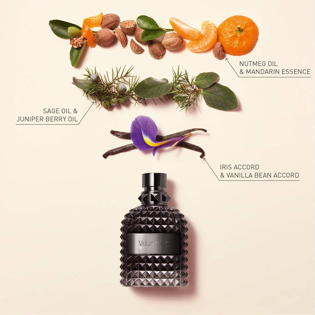 Refect Beauty Valentino Uomo Intense perfume bottle with floating ingredients like mandarin, iris, and vanilla bean