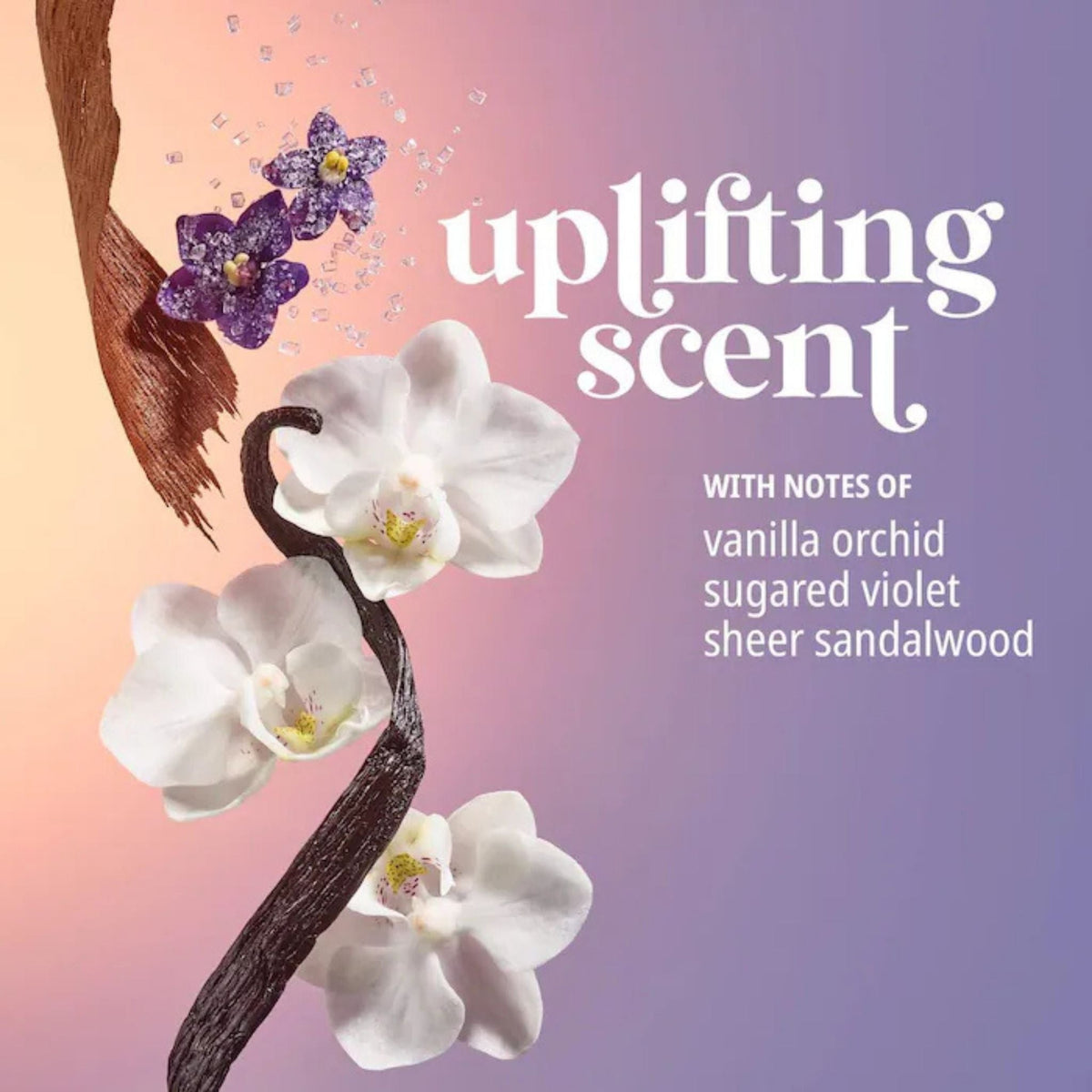 Refect Beauty promotional graphic featuring white vanilla orchids, purple violets, and sandalwood on a gradient background
