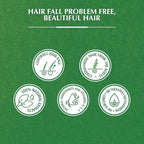 Refect Beauty Vatika Cactus hair oil benefits infographic showing natural ingredients and anti-hair fall properties.