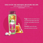 Refect Beauty Vatika Dabur Honey and Egg repair shampoo bottle with honey and egg illustrations on a pink background