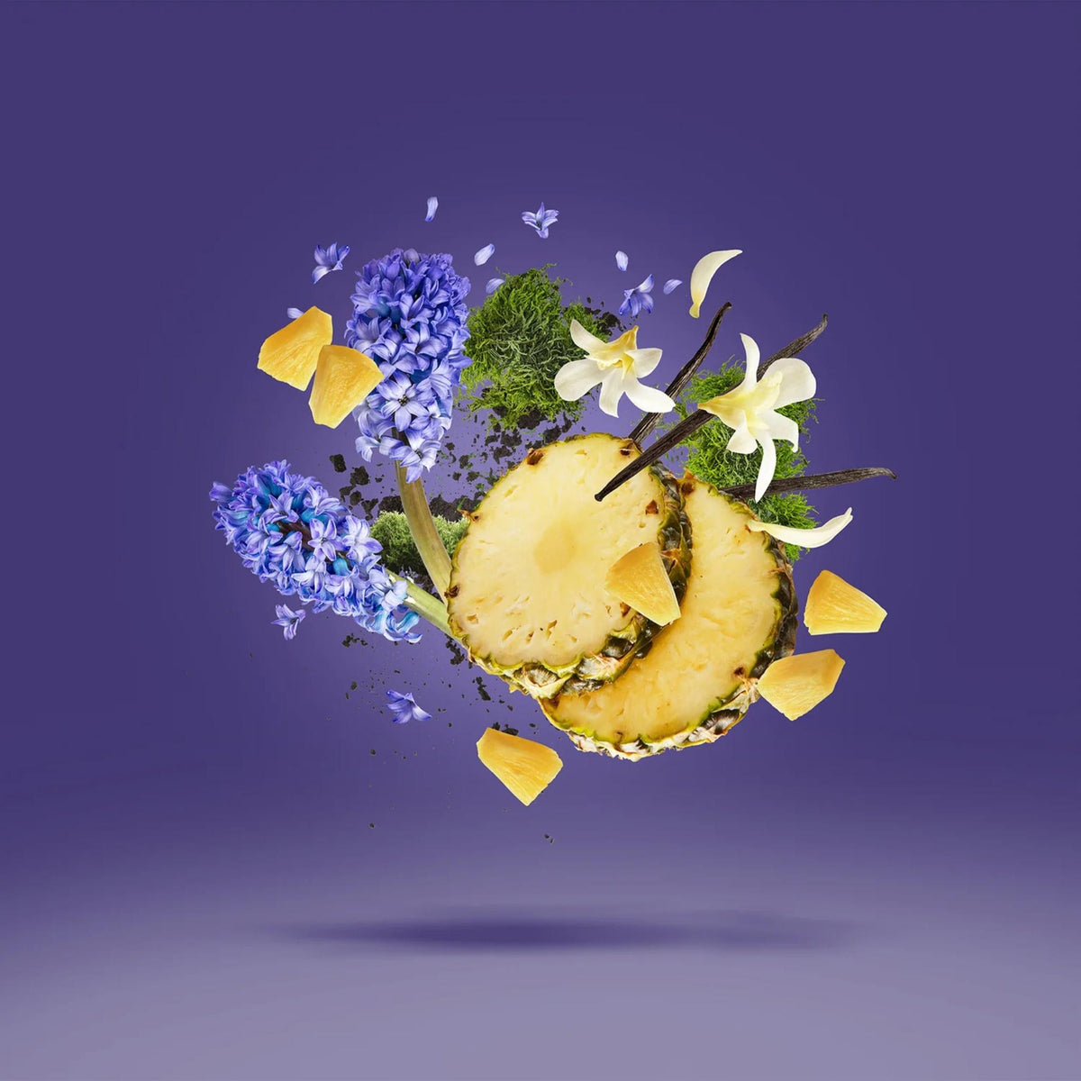 Refect Beauty Xerjoff Accento perfume ingredients including pineapple, hyacinth, jasmine, and vanilla floating on purple