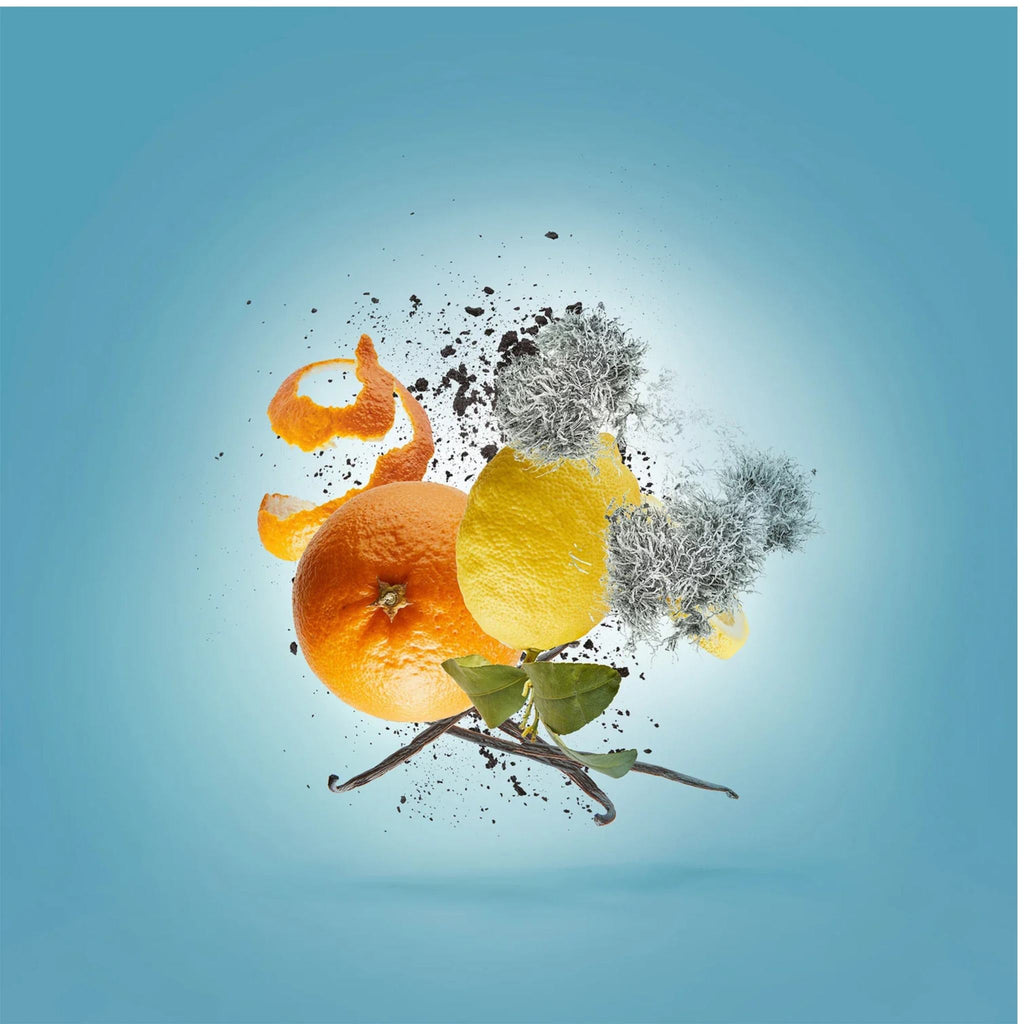 Refect Beauty Xerjoff Erba Pura perfume ingredients featuring floating lemon, orange, vanilla beans, and musk on blue