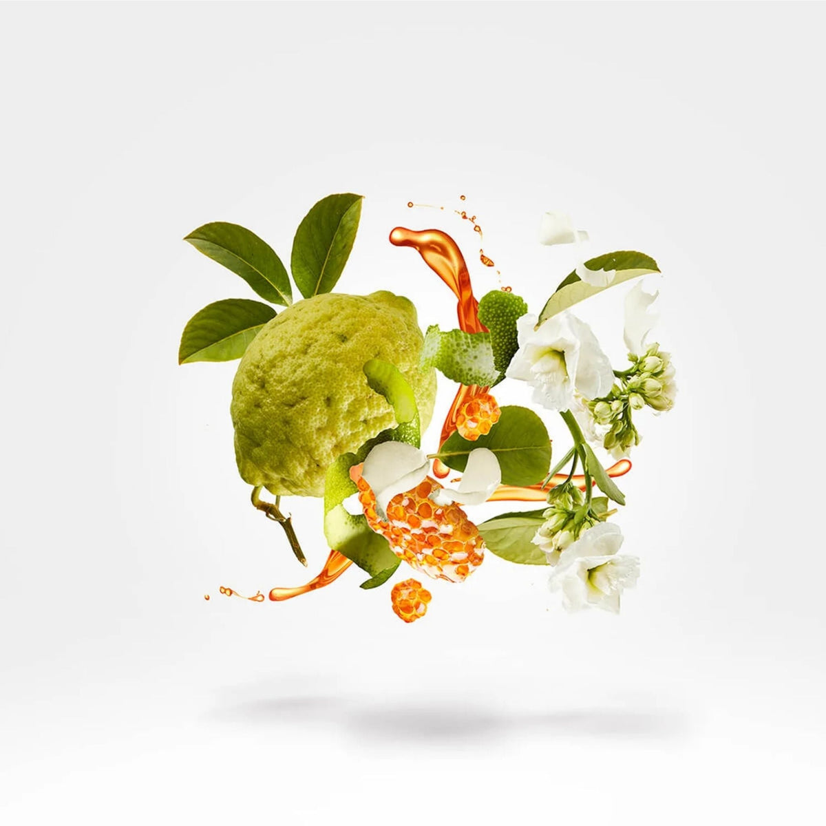 Refect Beauty Xerjoff Naxos perfume ingredients featuring floating lemon, jasmine flowers, and golden honey splashes