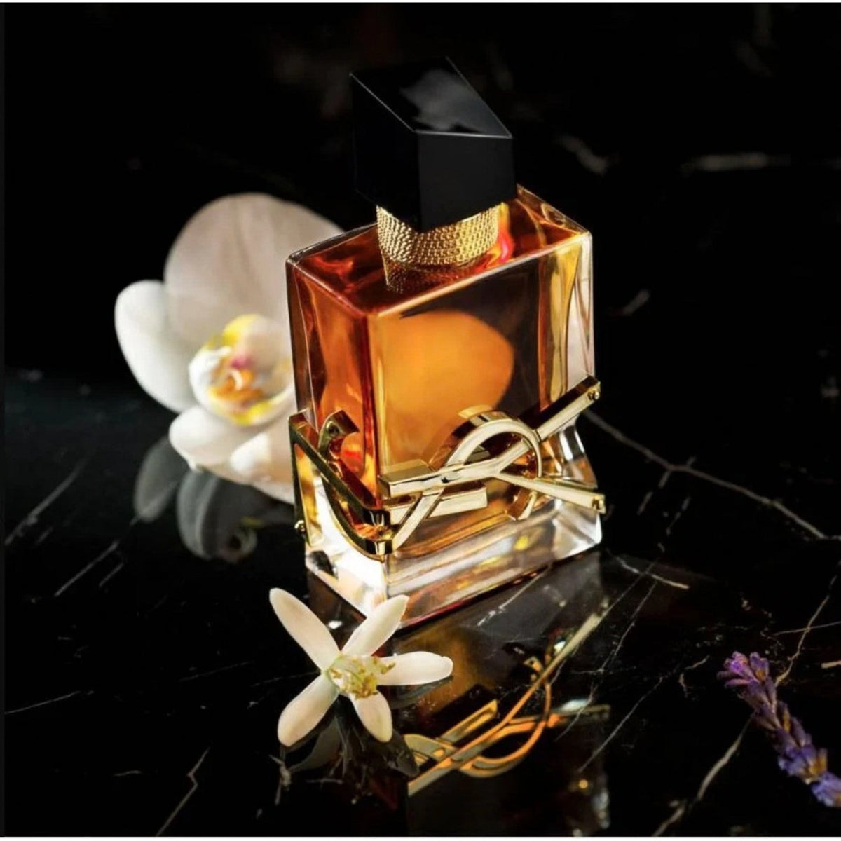 Refect Beauty Yves Saint Laurent Libre Eau de Parfum Intense bottle with gold logo on a dark marble surface.